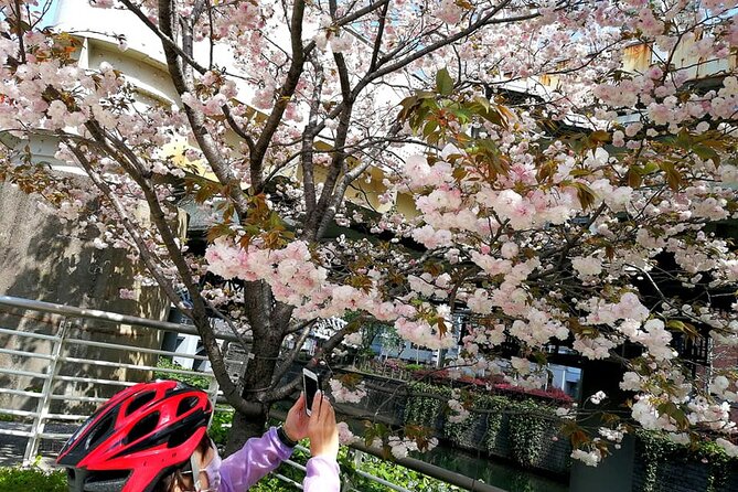Tokyo Cherry Blossoms blooming spots E-bike Tour, 3hrs - Kensei Kinenkan and the final park stop