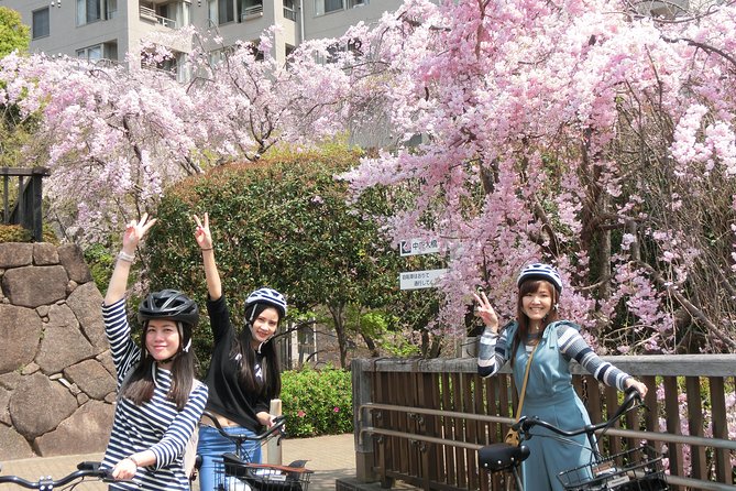 Tokyo Cherry Blossoms blooming spots E-bike Tour, 3hrs - Chidorigafuchi, the opening view
