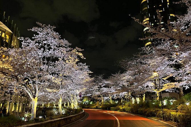 Tokyo Night Bike Tour: From Shibuya to Tokyo Tower via Roppongi - Why Tokyo works so well at night on two wheels
