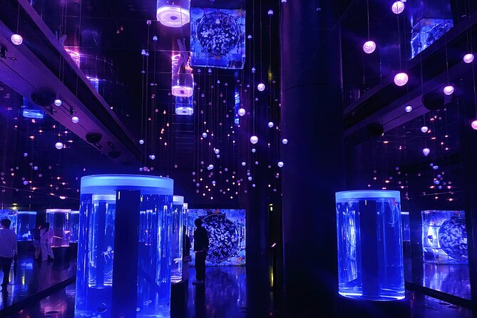 Tokyo Night E-Bike Tour with Tokyo Tower and Dolphin Show - Azabujuban for a snack and drink