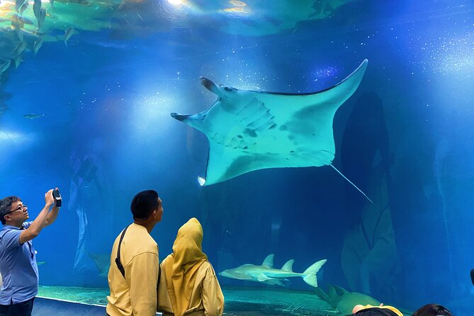 Tokyo Night E-Bike Tour with Tokyo Tower and Dolphin Show - Tokyo Tower’s Top Deck after dark