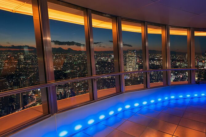Tokyo Night E-Bike Tour with Tokyo Tower and Dolphin Show - Electric bikes, hills, and the physical side