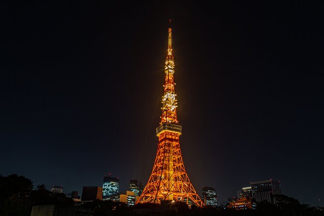 Tokyo Night E-Bike Tour with Tokyo Tower and Dolphin Show - Timing, transport, and route planning