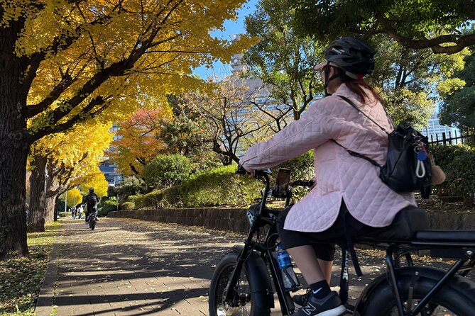 Tokyo Top Highlights 3h Guided E-bike Tour - Tokyo Tower Route: temples, hills, and national landmarks