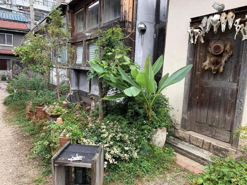 Urban Canvas: Osaka Street Art Bike Tour - Tenma: coffee, backstreets, and food advice
