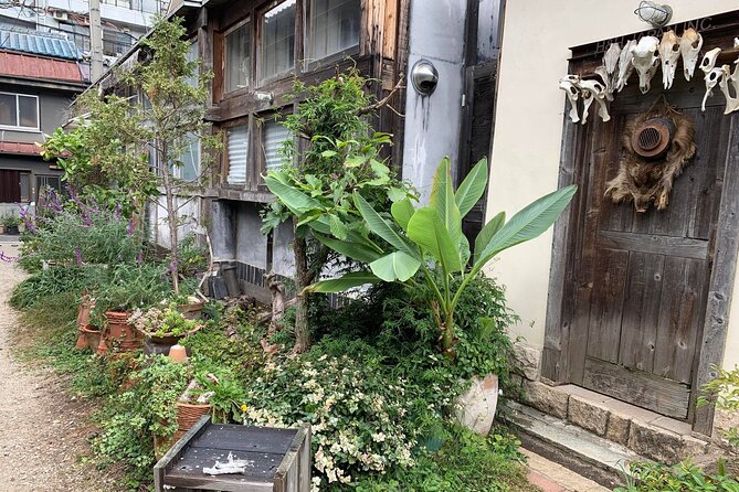 Urban Canvas: Osaka Street Art Bike Tour - What the guide adds to the ride