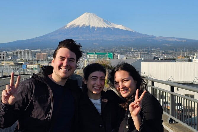 Winter Special: Clear View Mt. Fuji E-Bike Tour - Starting at Shin-Fuji Station