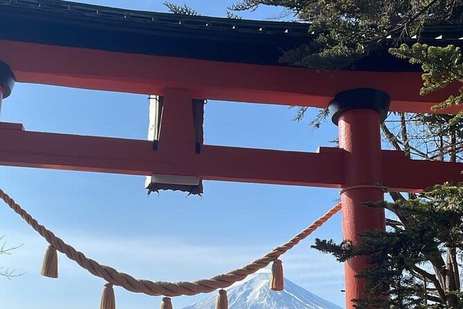 Winter Special: Clear View Mt. Fuji E-Bike Tour - Yusui Park and Fuji’s spring water
