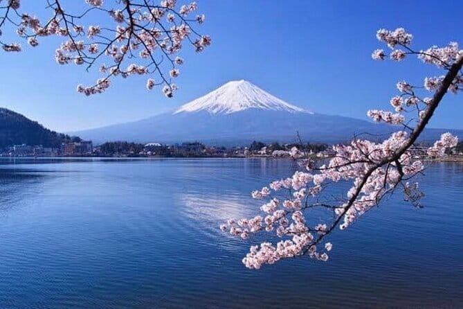 Winter Special: Clear View Mt. Fuji E-Bike Tour - Fujisan Yume No Ōhashi Bridge and the main photo stop